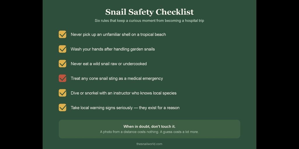 checklist of six safety tips for avoiding dangerous snails